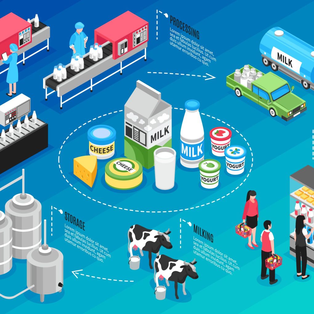 Production delivering and selling milk and cheese products isometric infographics on blue background 3d vector illustration